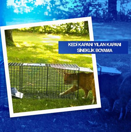 Kedi kapanı Yılan Kapanı Sineklik Boyama